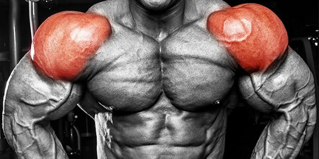 Хирургия плеча: Почему жим гантелей сидя — лучшее изолирующее упражнение для передней дельты (и как делать его правильно).