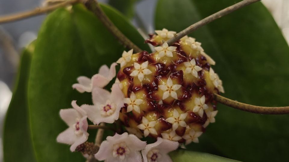 Доброе утро! Или день