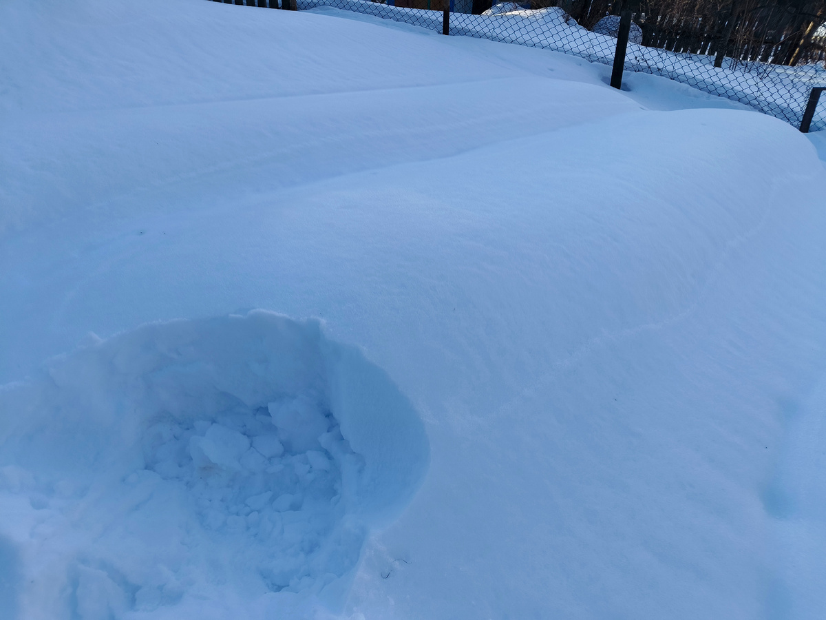 Посмотрела сколько снега лежит на укрытии
