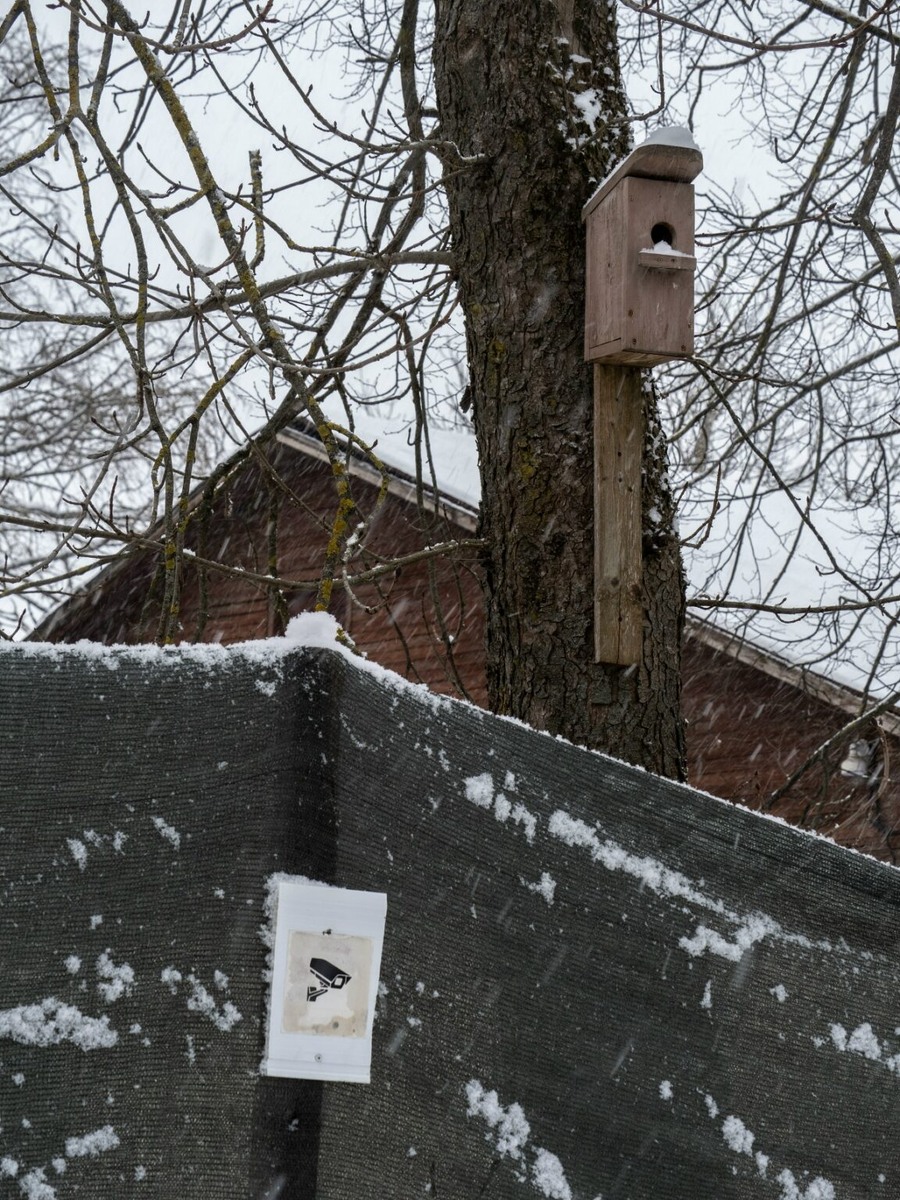    Фото: Александр Губарев Юра Белый