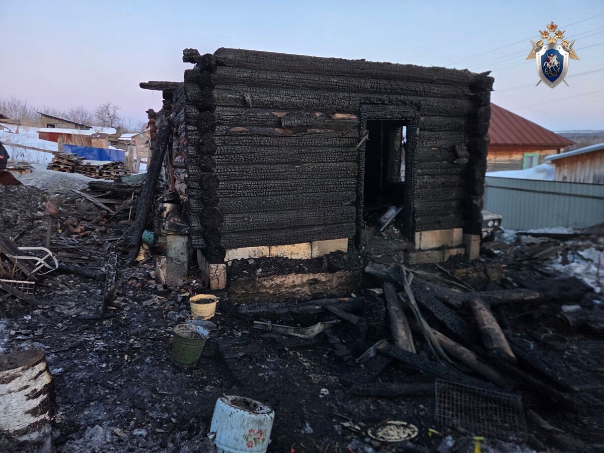     / Источник: © altai-krai. sledcom.ru