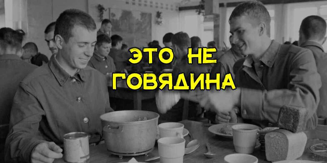 Жевали то, что давали. Каким мясом кормили в советской армии, кроме говядины и где его брали