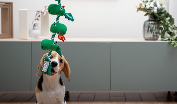 Звук в игрушке выполняет роль мощного поведенческого триггера, который превращает простое жевание или тряску в осмысленную, инстинктивно насыщенную деятельность. Это обогащает игру, делая её психологически полноценной и способствуя здоровой психической разрядке, особенно для собак с выраженным охотничьим драйвом. На фото — мягкая игрушка с пищалками Triol «Горыныч».