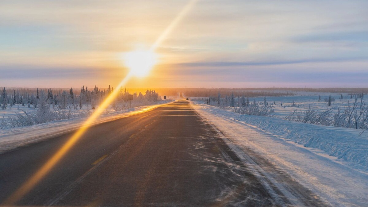    Фото: Федор Воронов/«Ямал-Медиа»