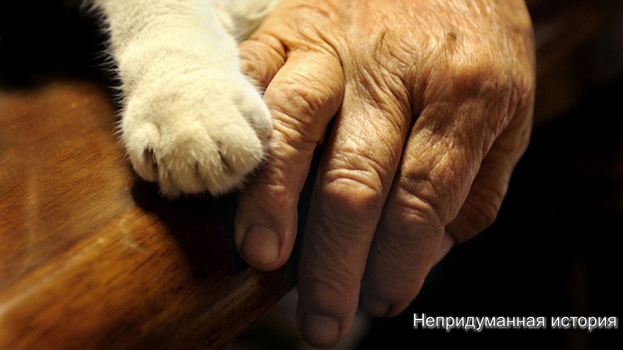 Фото взято в свободном доступе