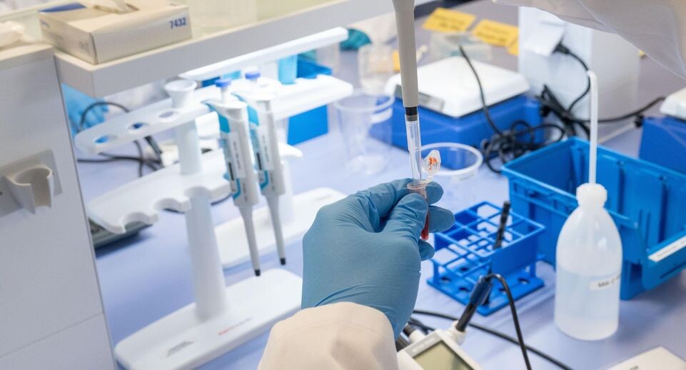    Jonas Roosens/Keystone Press Agency / www.globallookpress.com