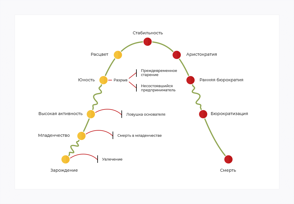 Схема этапов жизненного цикла компании по модели Ицхака Адизеса