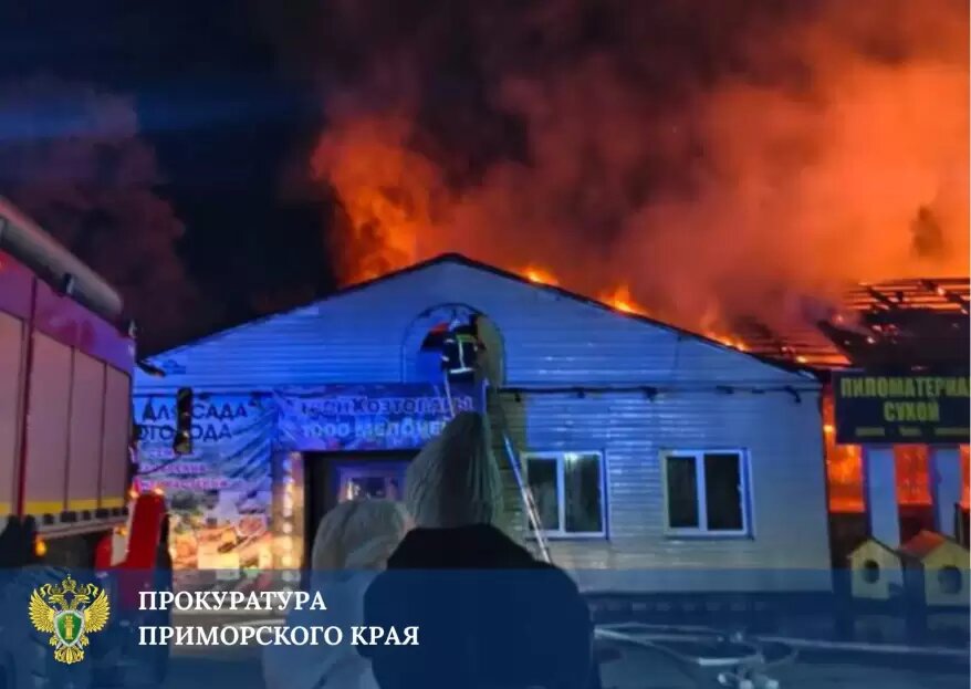    Источник фото: Прокуратура Приморского края