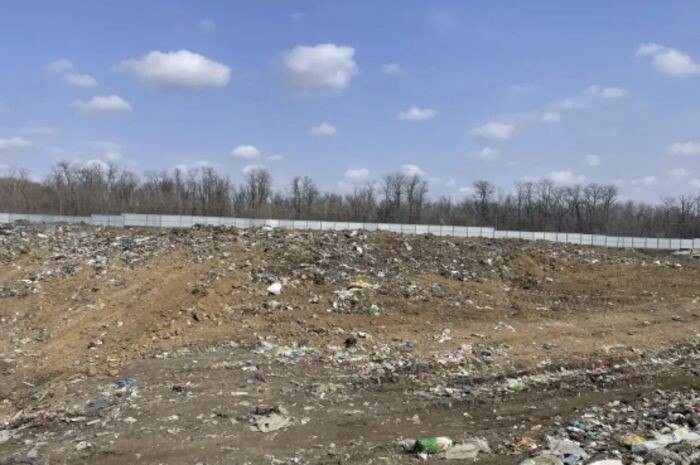 Иллюстрация: Антонина Пшеничная