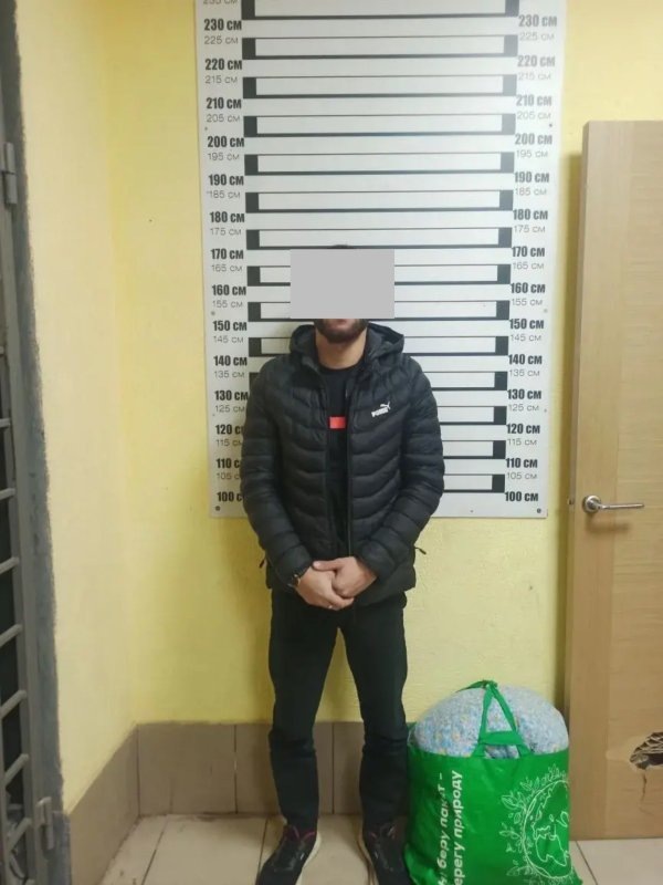     фото - УМВД России по Курской области