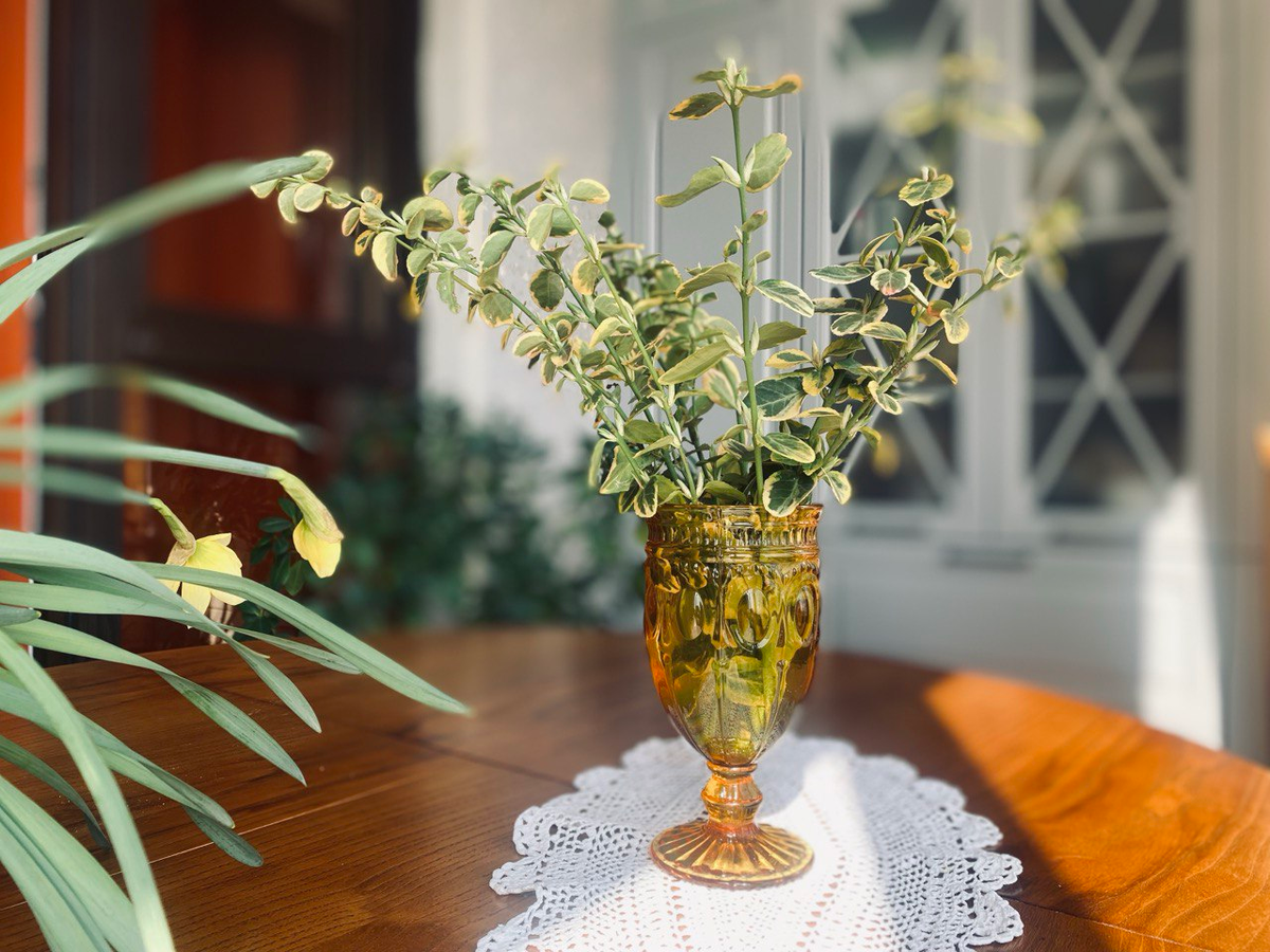 Купила простой бокал