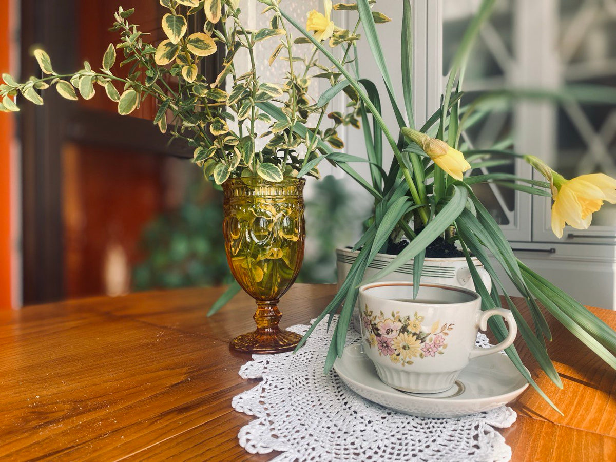 Высадила нарциссы в котлетницу