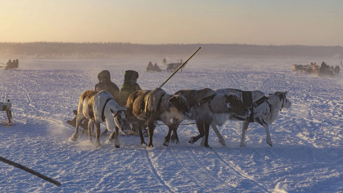    Фото: Никита Погодин/«Ямал-Медиа»