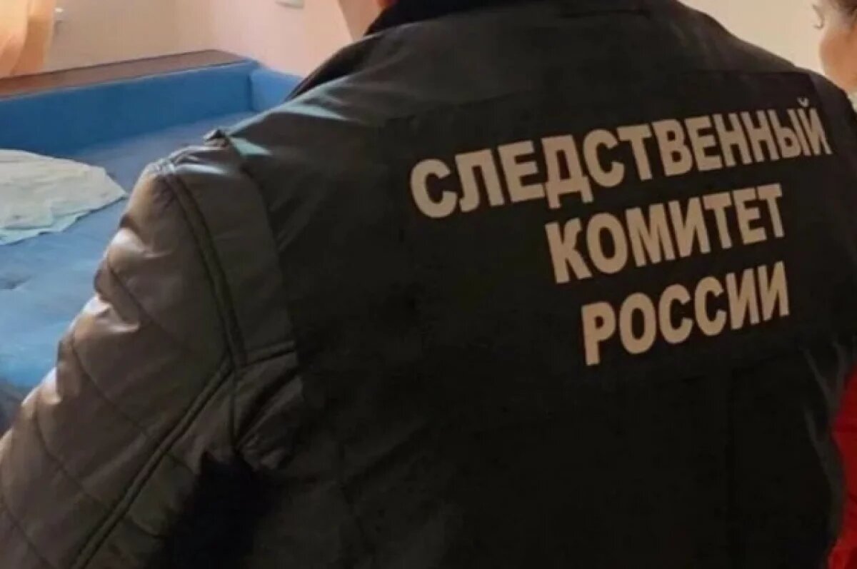    Женщина в Саргатском районе забила знакомую поленом