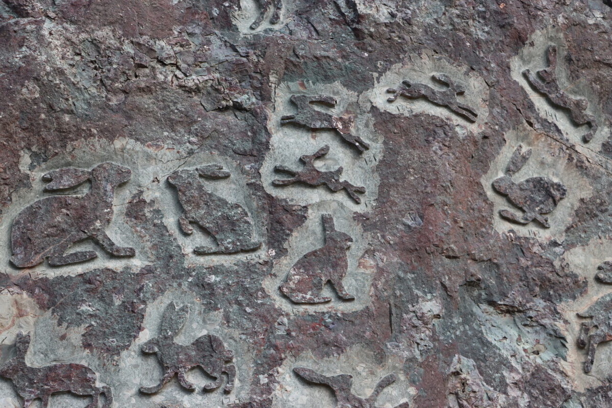    Фото: "Республика"/ Родион Филиппов