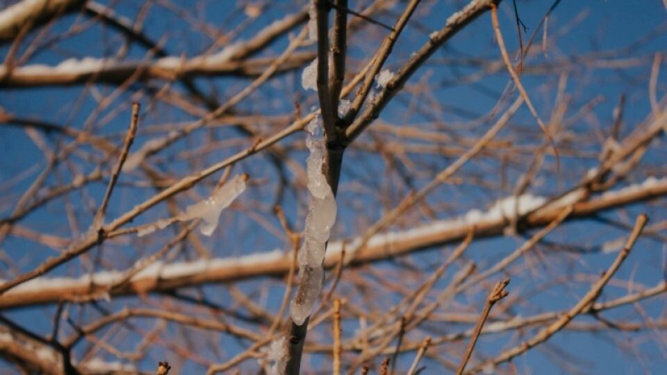    Оттепель. Весна.. Источник: Анна Меньшикова