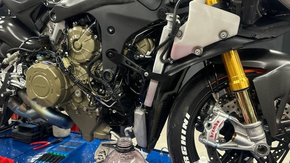 Красота в чистом виде