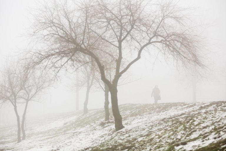 На Волгоградскую область опустились туманы