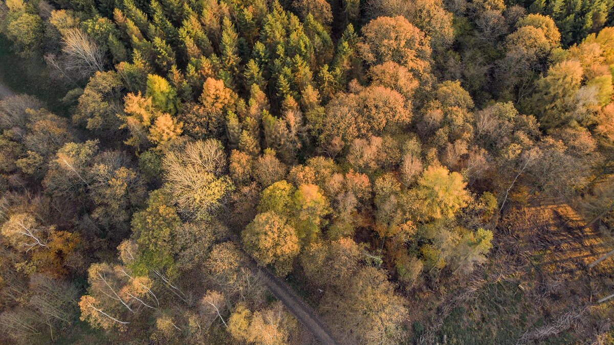    Фото: freepik.com/wirestock