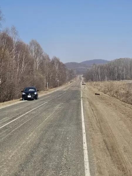    Источник фото: пресс-служба УМВД России по Приморскому краю