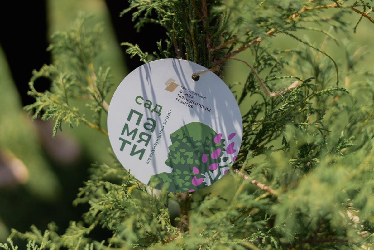    Министр экологии Крыма поблагодарила военных в ходе акции "Сад памяти"