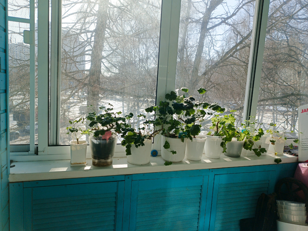 За окном снег, а на балконе +10. Самое время гулять!