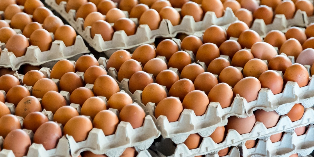 Более 5 тысяч просроченных яиц нашли в сети магазинов Крыма