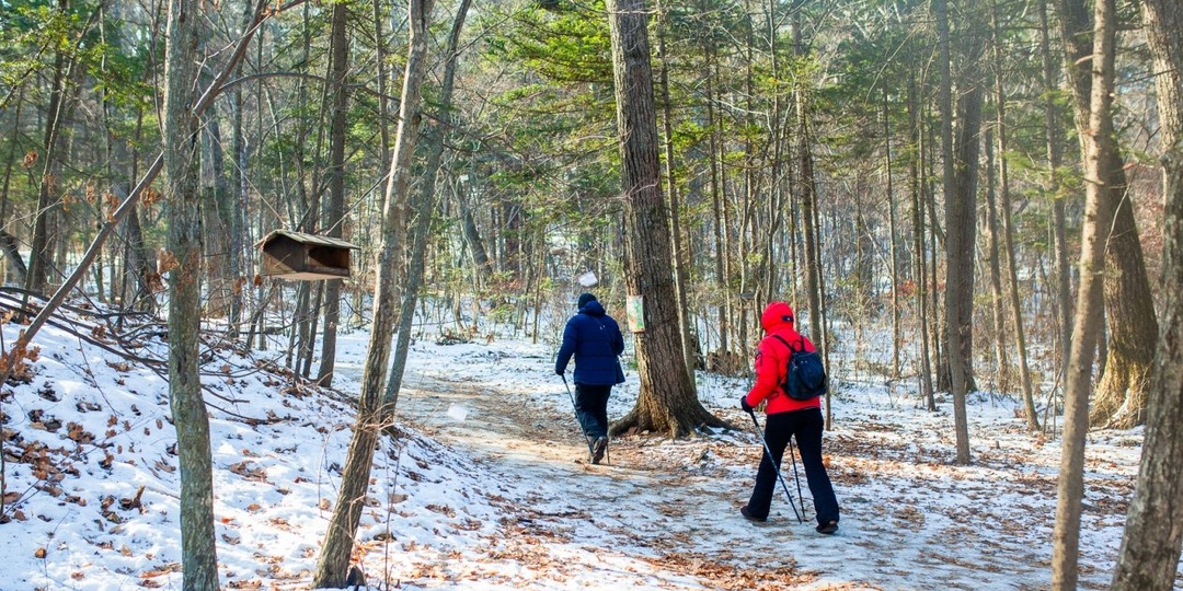 Дресс-код для весенних прогулок: опытный грибник назвал, как одеваться в лес и кого опасаться