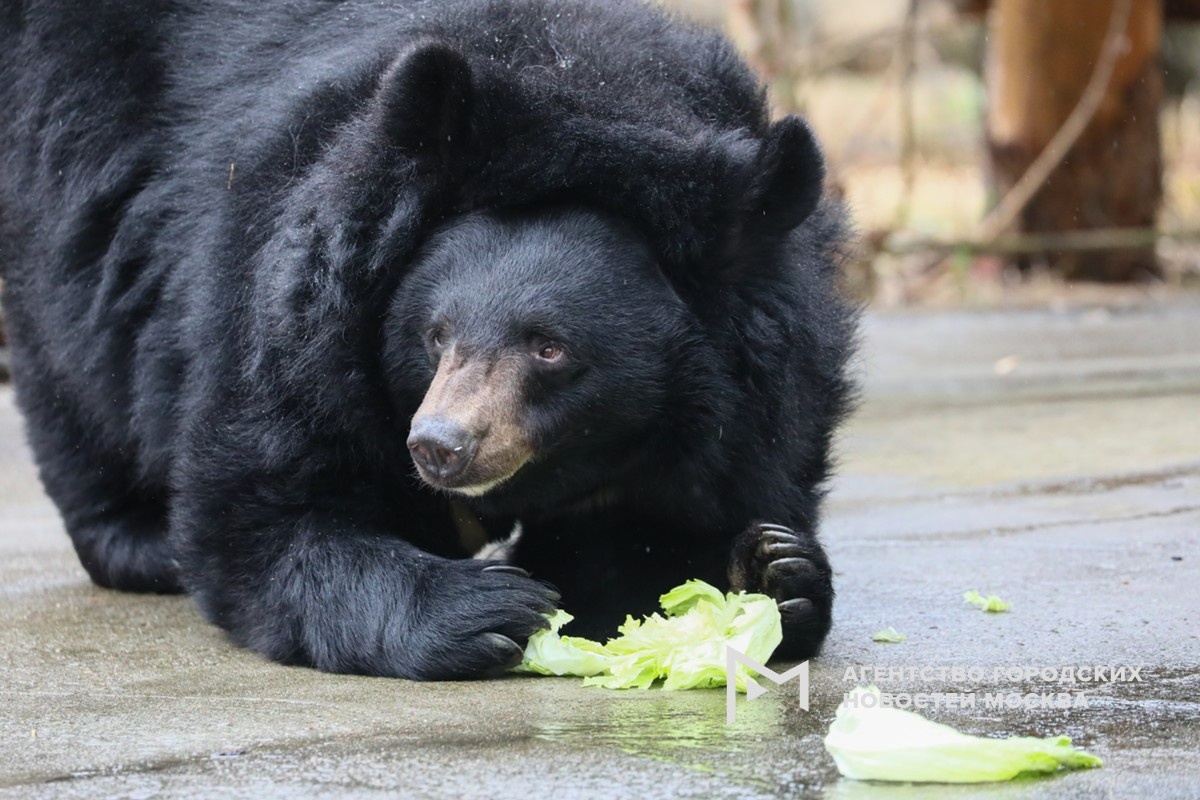 Фотограф: Софья Сандурская