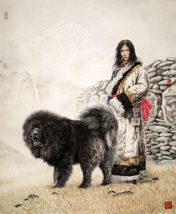 Эта хозяйка тибета смотрит на клеветников любимой породы как на тупиковую ветвь эволюции.