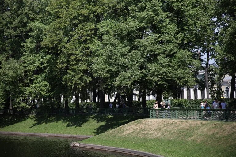    Фото: abn.agency