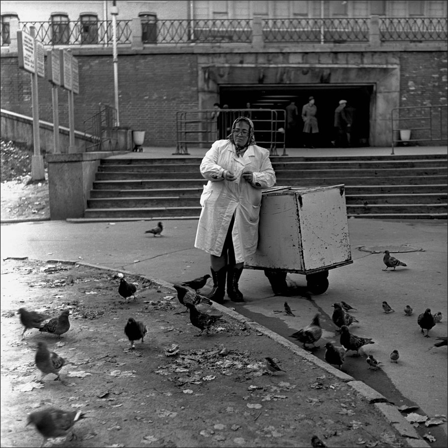 фото из яндекс картинки