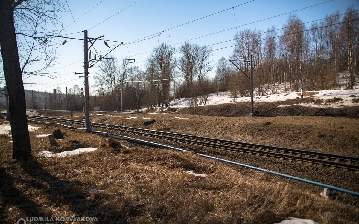    фото: Столица на Онего