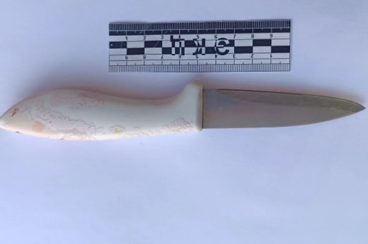    Жительнице Калининграда предъявили обвинение в убийстве сожителя