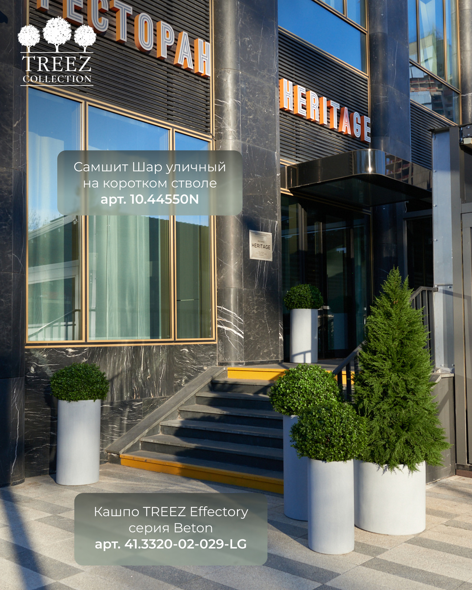 Кашпо и растения TREEZ Collection