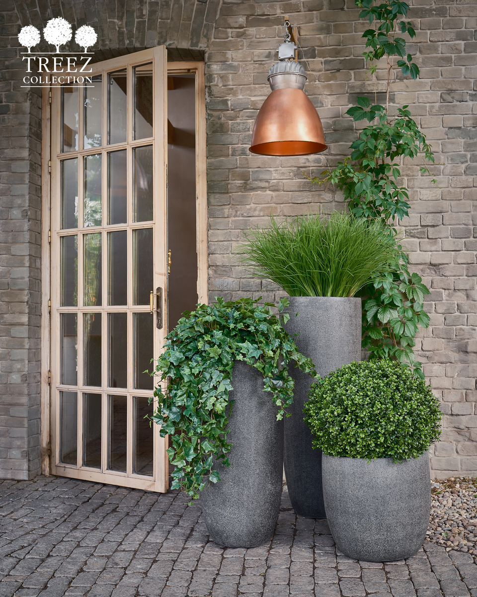 Кашпо и растения TREEZ Collection
