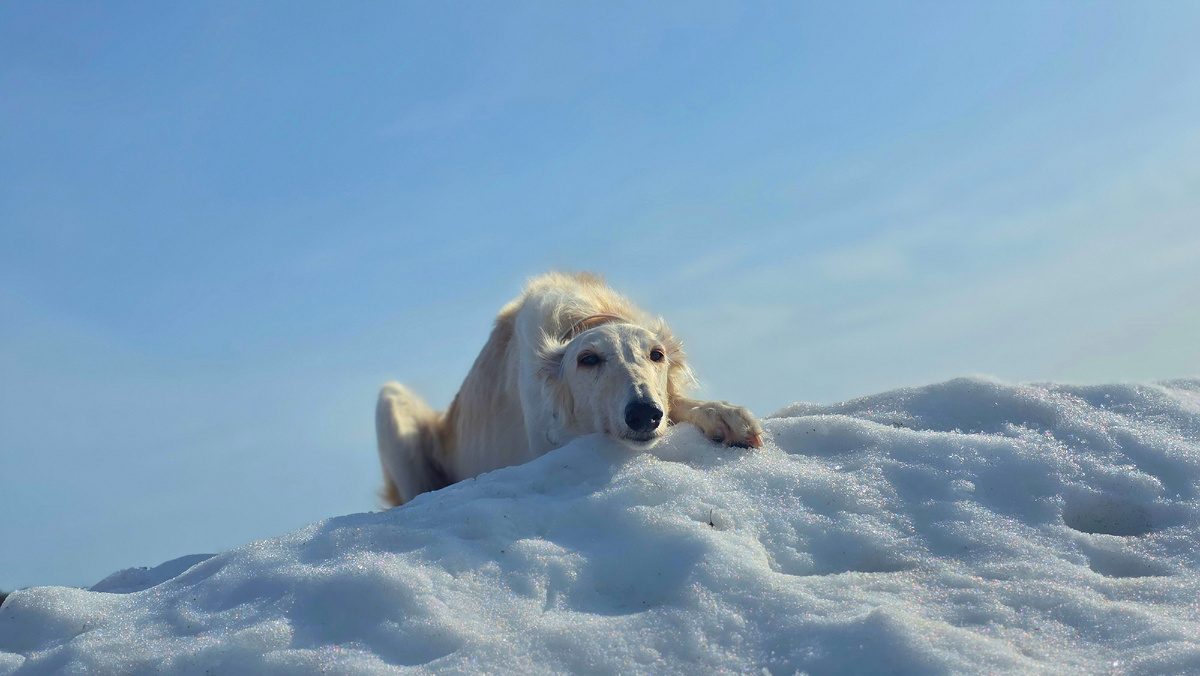 Я никуда не поеду!😅