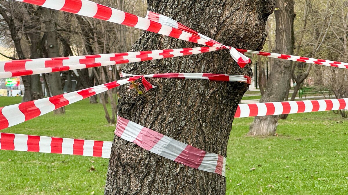    Фото: Petrov Sergey/globallookpress.com