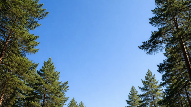 Фото: Изображение создано при помощи нейросети