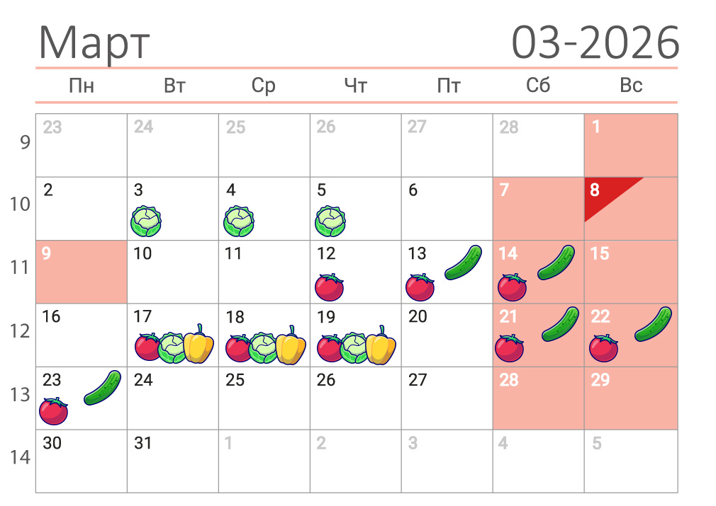 фото: Volganet.net