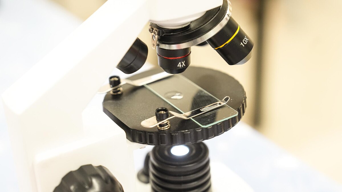    Фото: ИЗВЕСТИЯ/Андрей Эрштрем