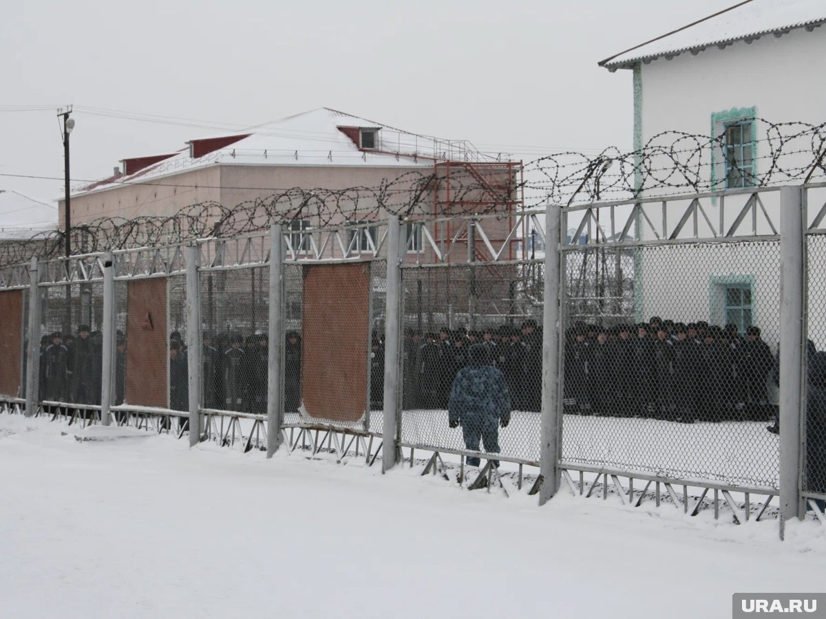     Преступление совершено в ИК-3, которая находится в Харпе (архивное фото)