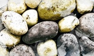 Изображение от freepik  📷
