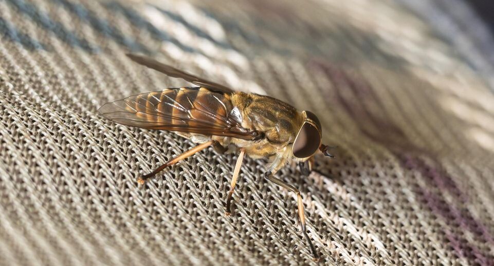    Silas Stein/dpa / www.globallookpress.com