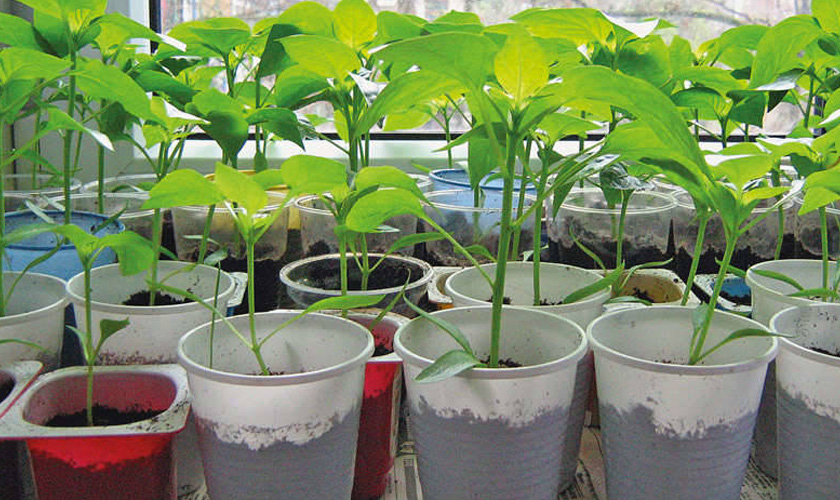 «Благоприятный день» — понятие растяжимое