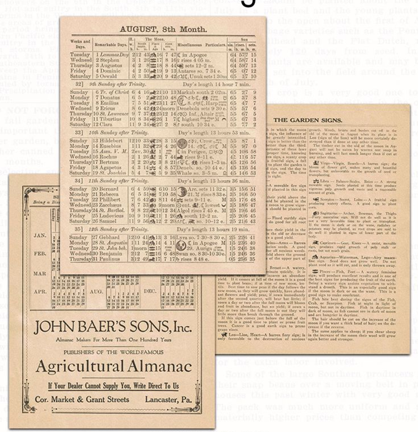 Да-да, европейцы и американцы тоже не брезгуют использовать черную магию для своей рассады