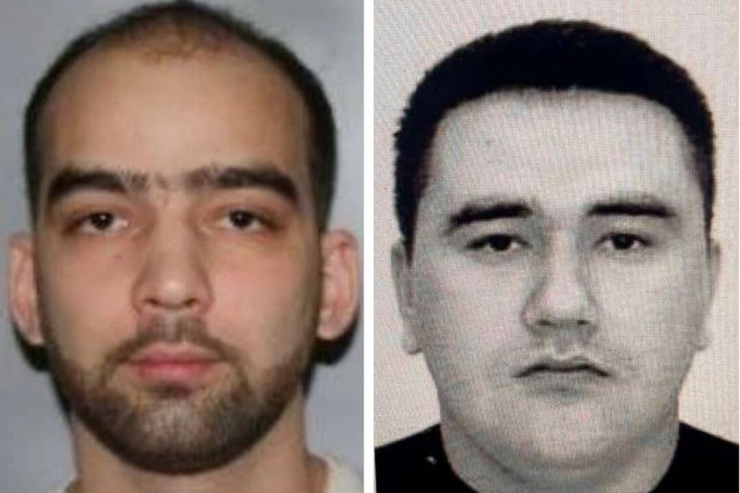 фото УМВД по Рязанской области