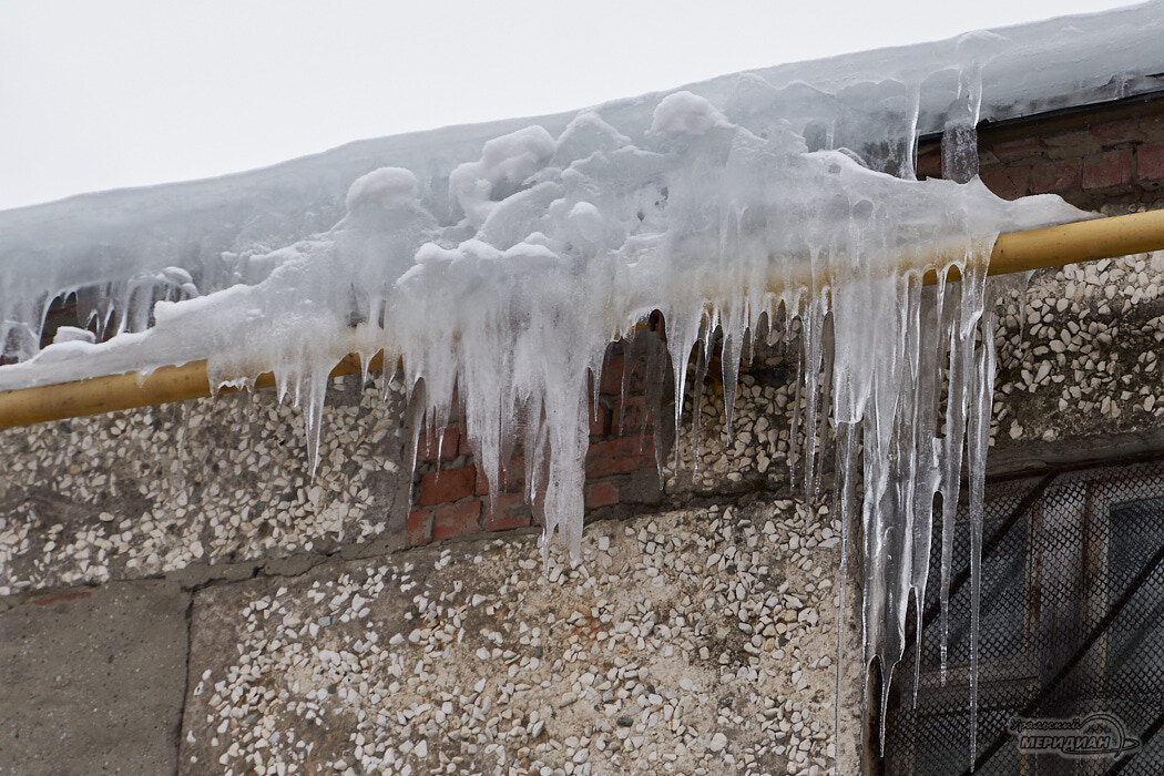    Фото Лидия Аникина © ИА «Уральский меридиан»