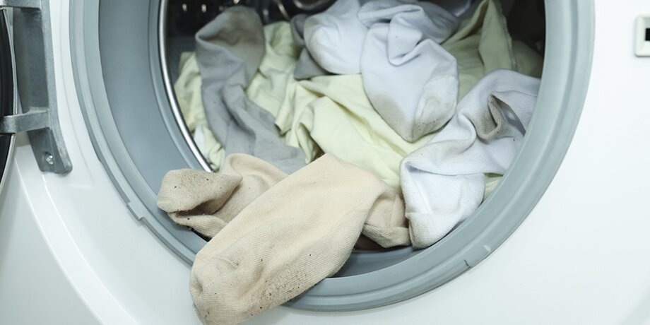    Фото: 123RF.com/liudmilachernetska