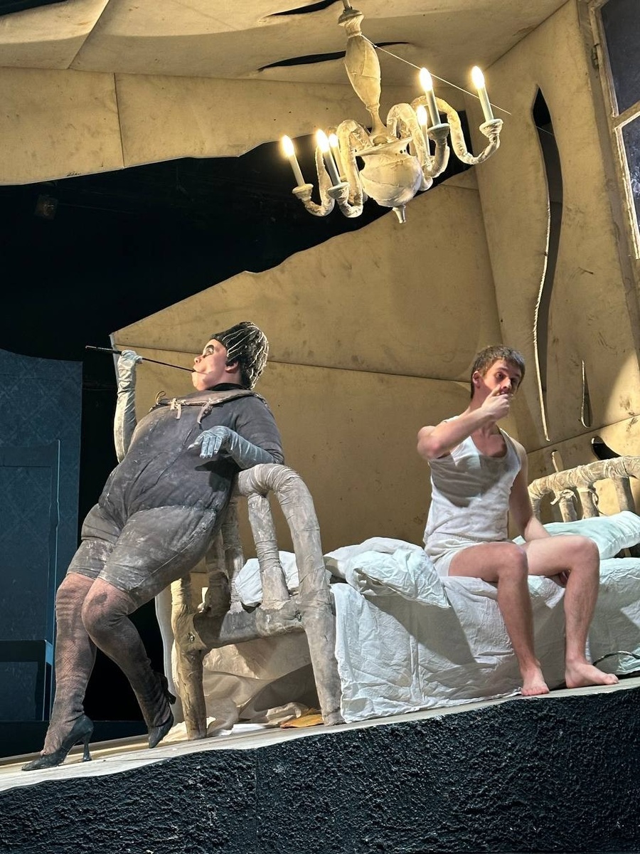 Сцена из спектакля «Превращение». Театр «Мастерская» (СПБ). Фото автора.